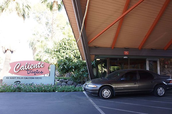 Caliente Tropics Caliente Tropics