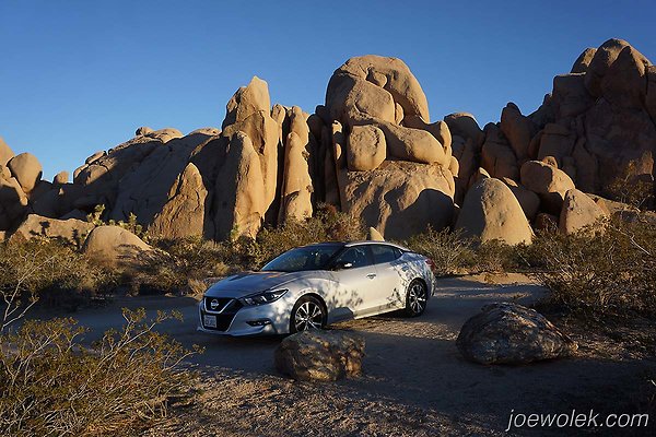 Joshua Tree National Park Live Oak Picnic Area West Loop