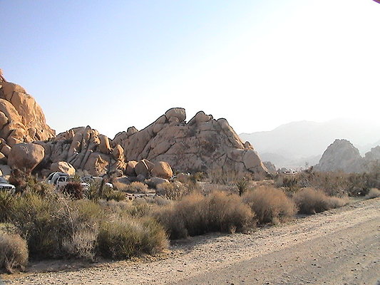 Joshua Tree indian cove rd