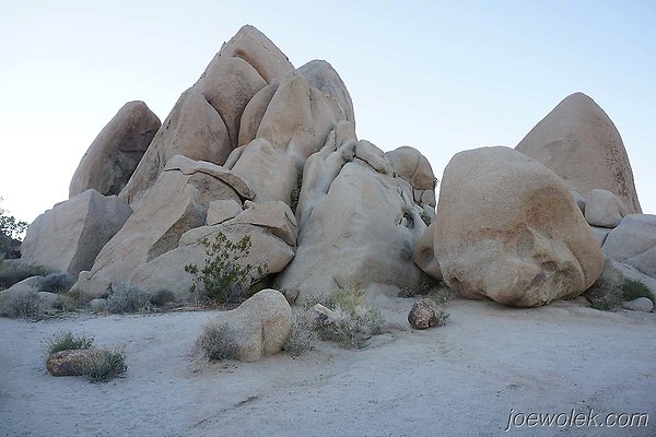 Joshua Tree National Park Live Oak Picnic Area East Loop