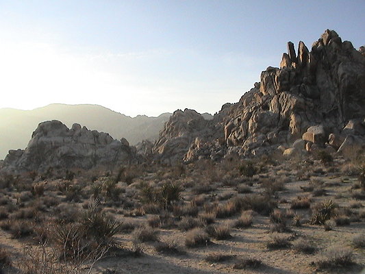 Joshua Tree indian cove