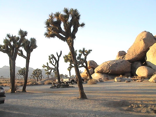 Joshua Tree cap rock