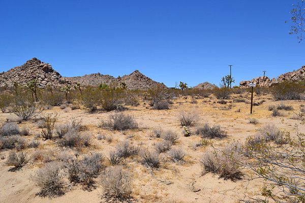 Joshua Tree Locations House Rocks