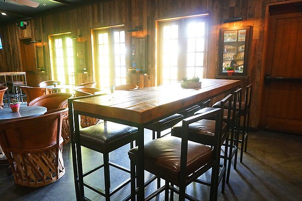 Saguaro El Jefe Saguaro El Jefe