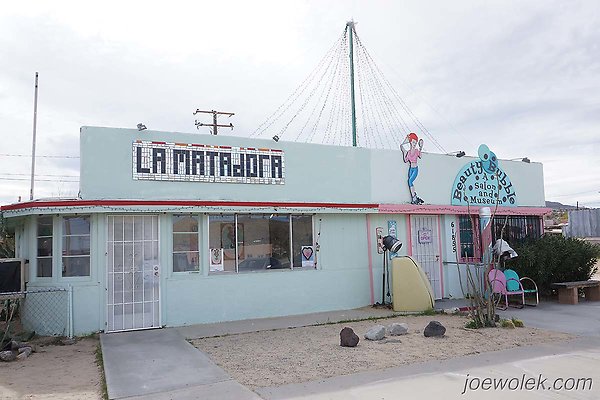 Art Queen Joshua Tree