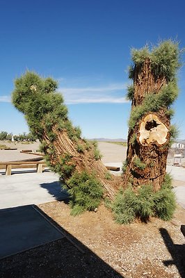 mi13303nnn mi13303nnn